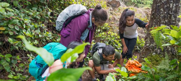 4 Family-Friendly Ways to Celebrate Earth Day