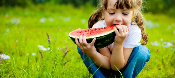 Picnic Foods for Kids - SavvyMom