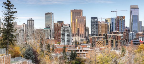 Things to do in Calgary in November - SavvyMom