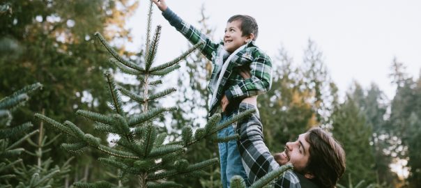 Christmas Trees in Vancouver - SavvyMom