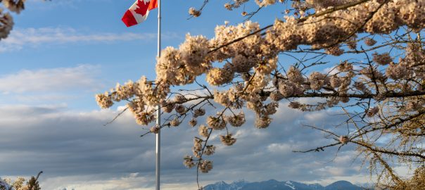 Things to Do in March in Vancouver - SavvyMom