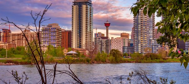 Things to do in Calgary in April with Kids - SavvyMom