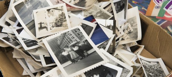 Tips for Organizing Family Photos - SavvyMom