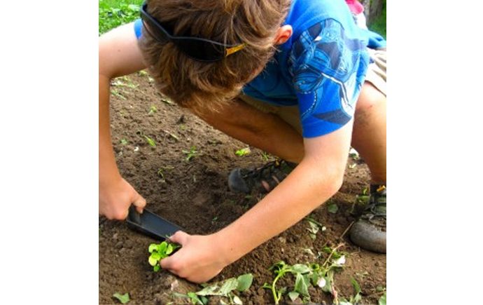 Eco and Nature Workshops or Camps for Kids in Toronto
