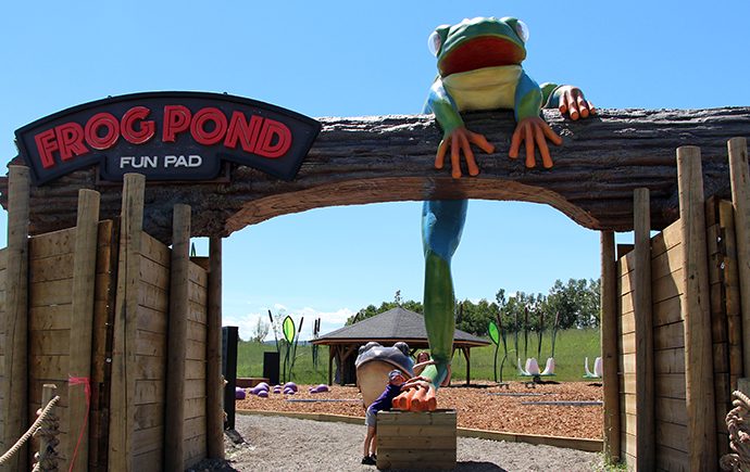 The Frog Pond