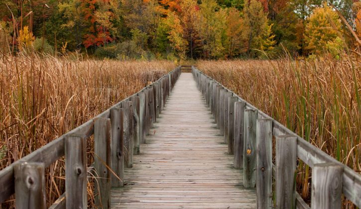 Fall photos in Ottawa