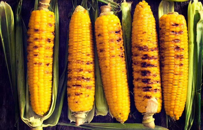 Corn Recipes