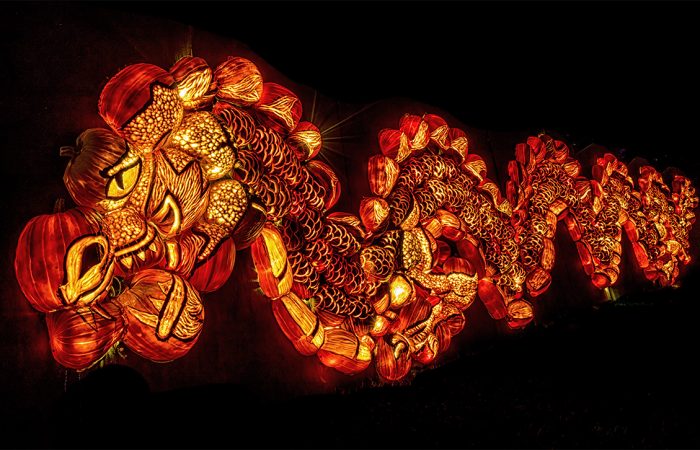 Pumpkins After Dark_feature