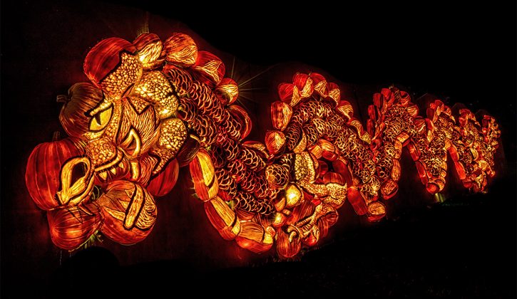 Pumpkins After Dark_feature