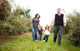 Apple Picking in Ottawa