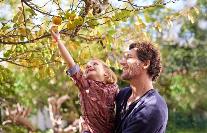 Apple Picking Near Vancouver - SavvyMom