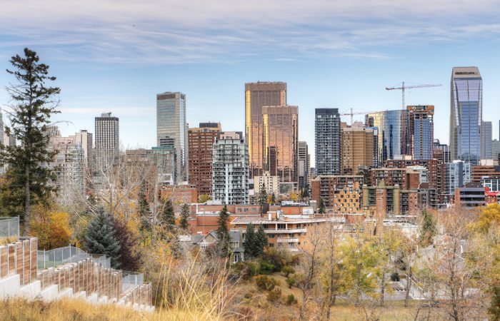 Things to do in Calgary in November - SavvyMom