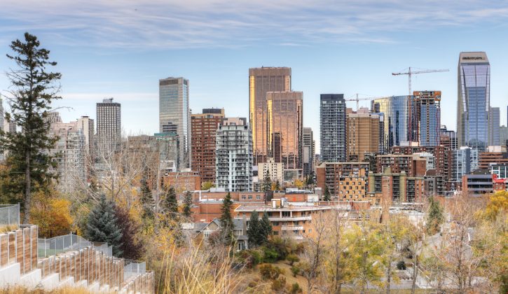 Things to do in Calgary in November - SavvyMom