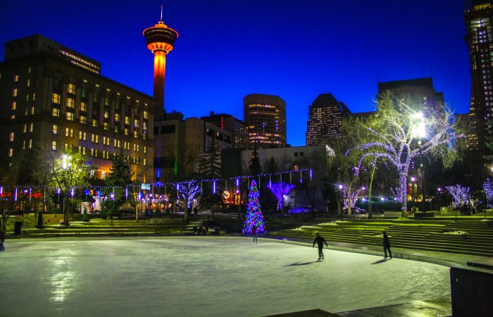 Things to Do in Calgary in December - SavvyMom