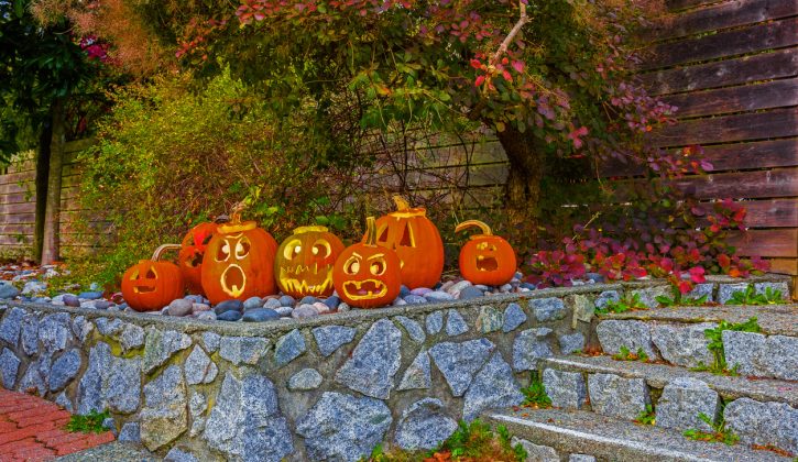 What's On for Halloween in Vancouver - SavvyMom