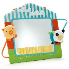 Skip Hop Activity Mirror