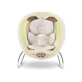 Fisher Price Snugabunny Bouncer