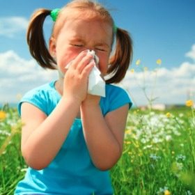 10 Allergy Soothers