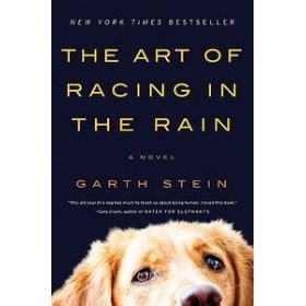 The Art of Racing in the Rain (Garth Stein)