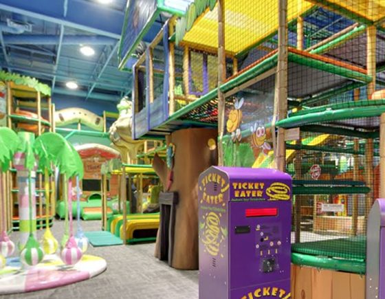 Treehouse Indoor Playground & Cafe