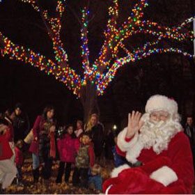 Light Up the Beach for Second Harvest