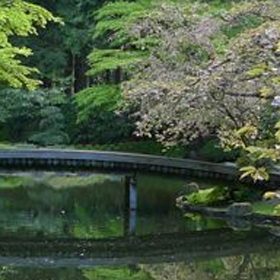 UBC Botanical Garden