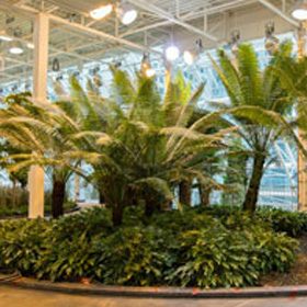 Devonian Gardens