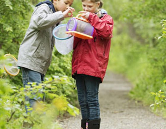 Nature Discovery Day Camps