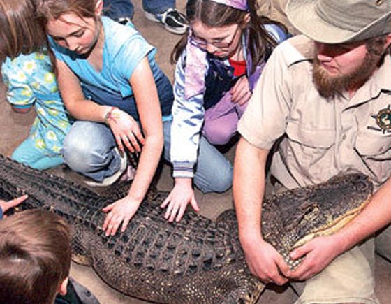 Little Ray's Reptile Zoo