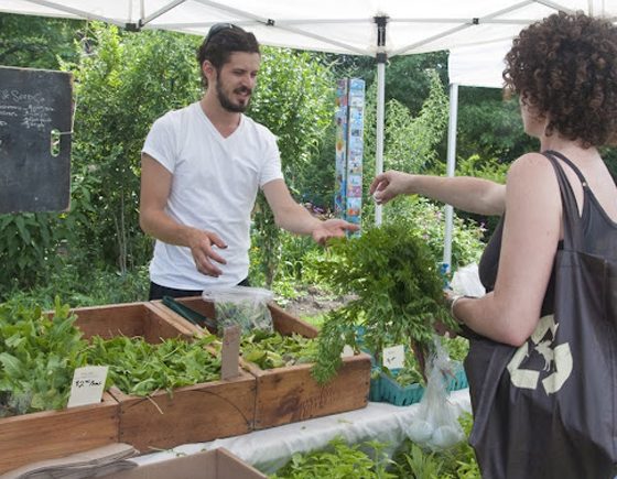 Sorauren Farmers' Market