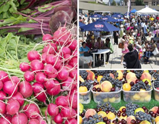 Nathan Phillips Square Farmers' Market