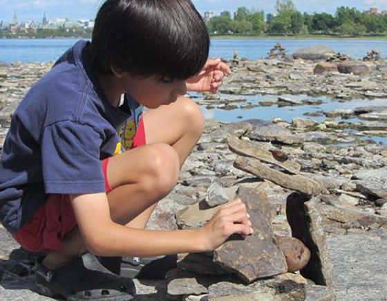 Rock Balancing Festival