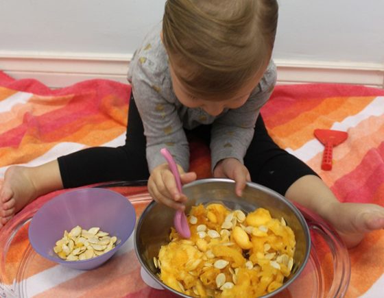 Pumpkin Seed Sorting