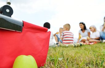 10 Places to Picnic in Calgary