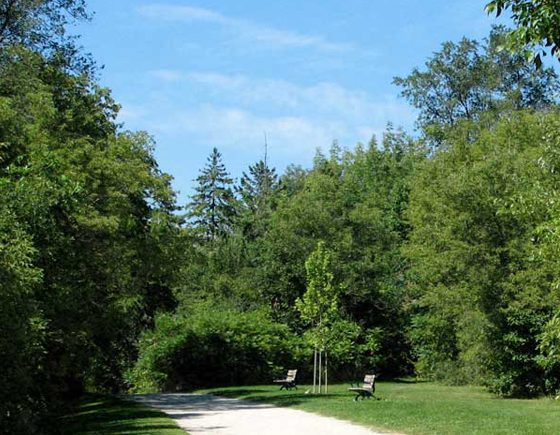 best park and picnic spot in Toronto: Cedarvale Park and Ravine