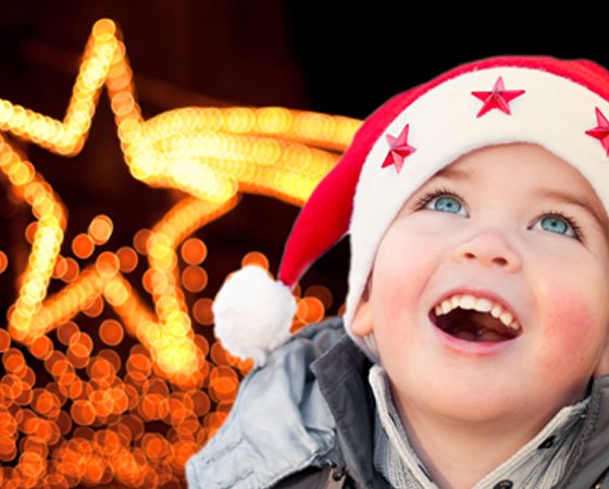 6 Holiday Light Displays in Calgary