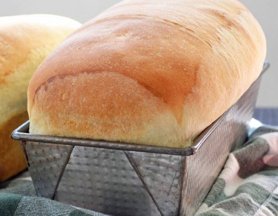 Julia Child's White Sandwich Bread