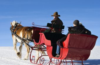 7 Sleigh Rides in Ottawa