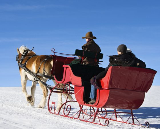 7 Sleigh Rides in Ottawa