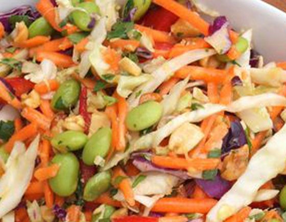 Colourful and Crunchy Asian Slaw Salad
