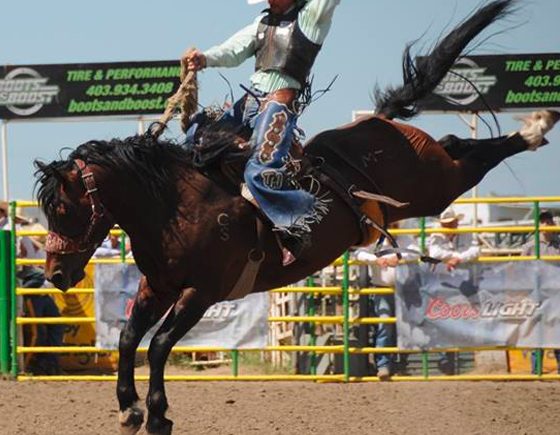 Strathmore Stampede