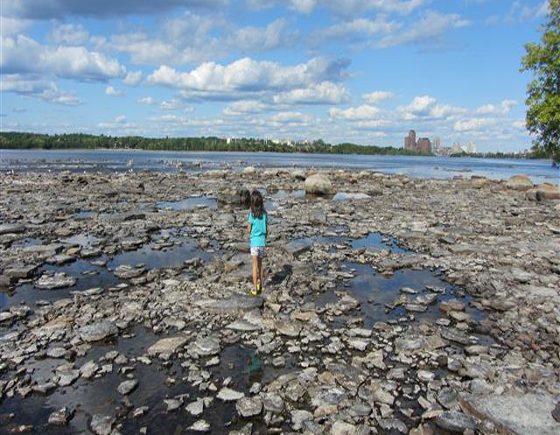 Bate Island and Remic Rapids