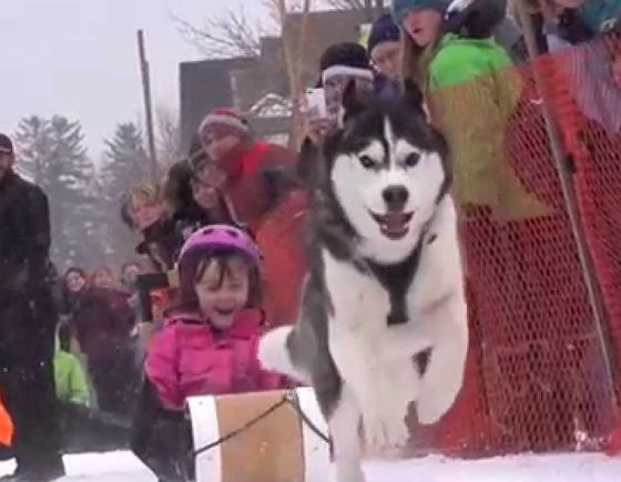 The Canmore Winter Carnival