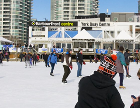 Snow Globe: Feb. 15: Harbourfront Centre