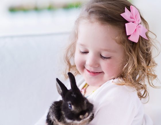 Easter Petting Zoo at Westbrook Mall
