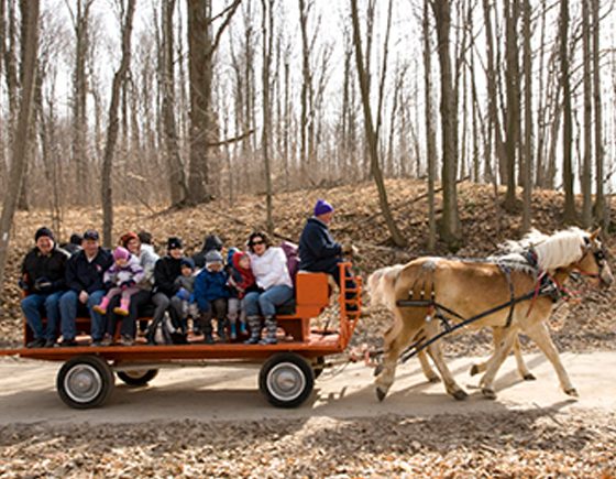 Purple Woods Conservation Area: Oshawa: March 11-19, 25-26, and April 1-2