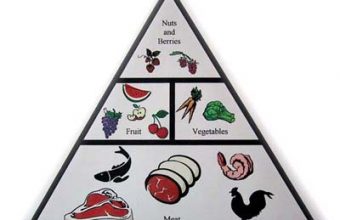 zone-paleo-food-pyramid1