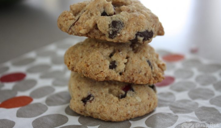 flourless-chocolate-chip-cranberry-cookies-Copy