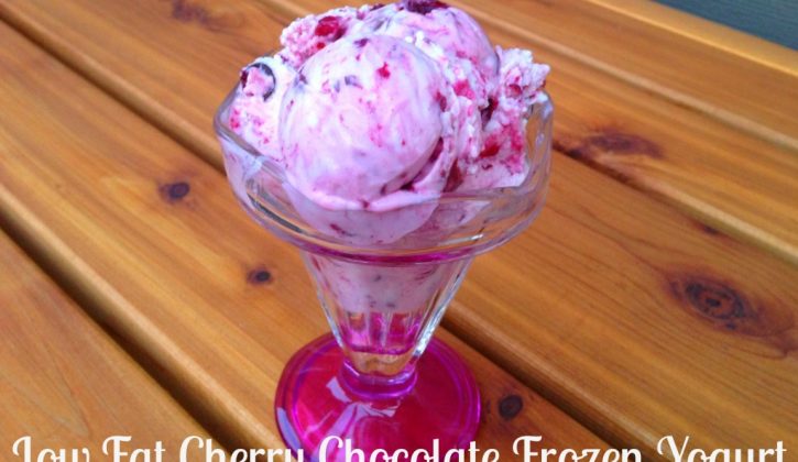 froz-yogurt-1024x680