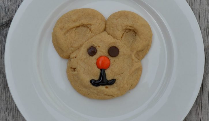 teddybearcookie